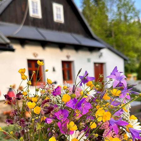 Rozpravkovy Domcek Zvoncek Villa Dóval Kültér fotó