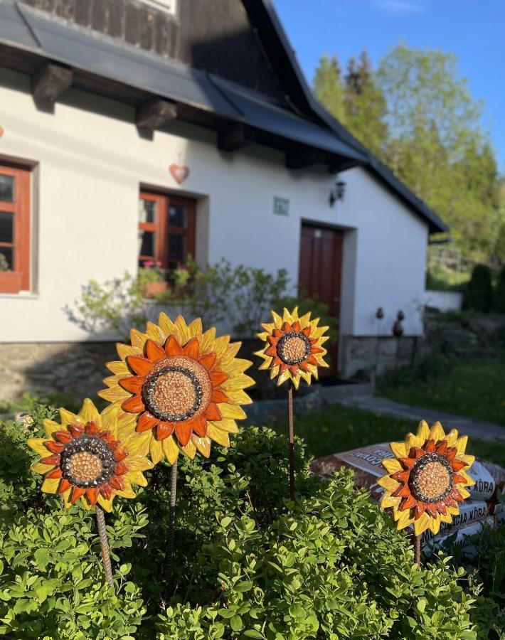Rozpravkovy Domcek Zvoncek Villa Dóval Kültér fotó