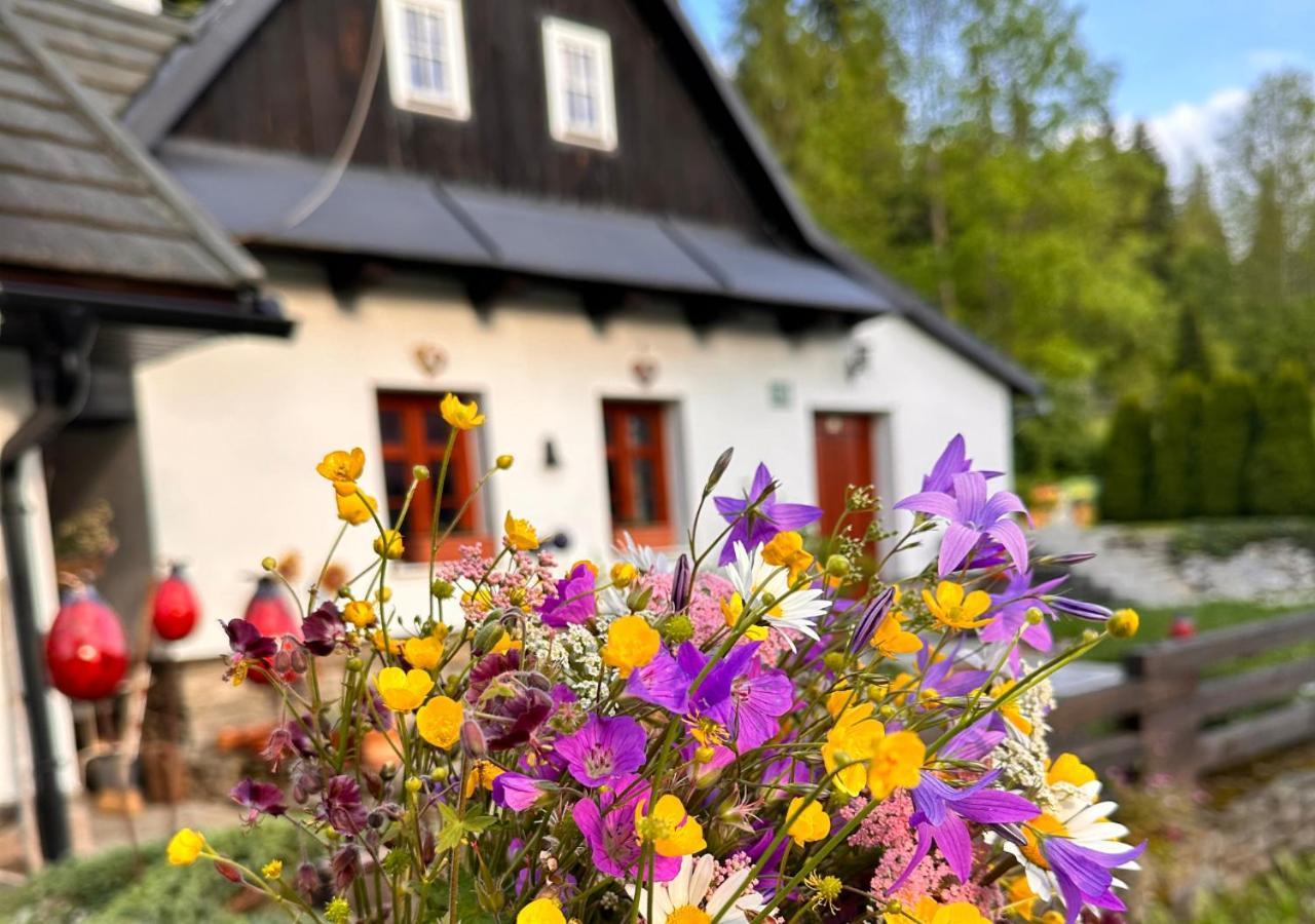Rozpravkovy Domcek Zvoncek Villa Dóval Kültér fotó